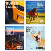 Тетрадь общая 96 лист. А5, ClipStudio, картон, скрепка, офсет