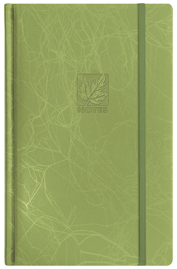 Записная книжка В7 Erich Krause Scribble зеленый линейка