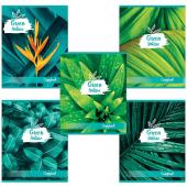 Тетрадь общая 48 листов BRAUBERG, скоба, клетка, картон Природа