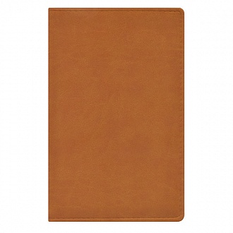 Визитница 110х190 72карт.Бургундия св-кор